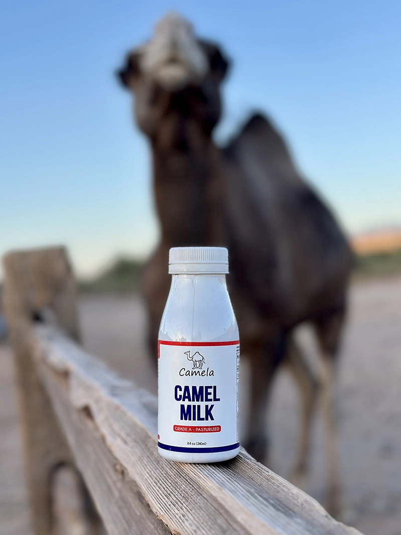 camela_milk3 Camela Camel Milk